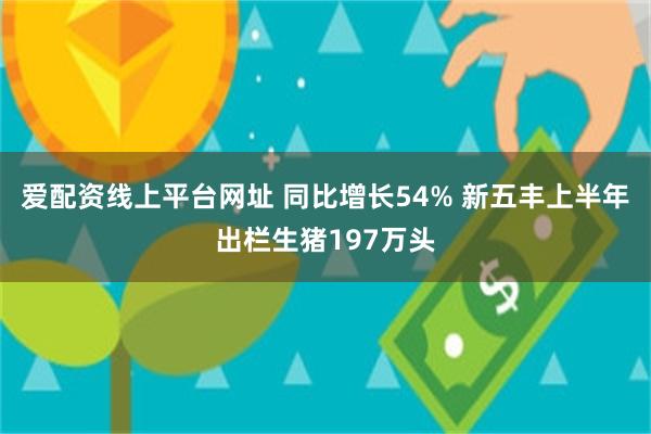 爱配资线上平台网址 同比增长54% 新五丰上半年出栏生猪197万头