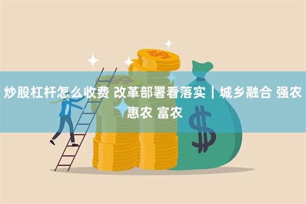 炒股杠杆怎么收费 改革部署看落实｜城乡融合 强农 惠农 富农