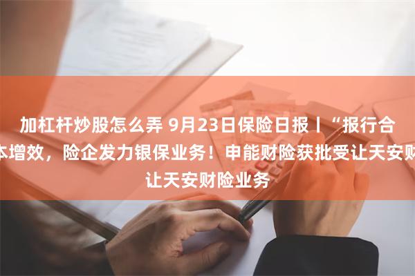 加杠杆炒股怎么弄 9月23日保险日报丨“报行合一”降本增效，险企发力银保业务！申能财险获批受让天安财险业务