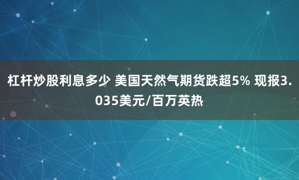 杠杆炒股利息多少 美国天然气期货跌超5% 现报3.035美元/百万英热