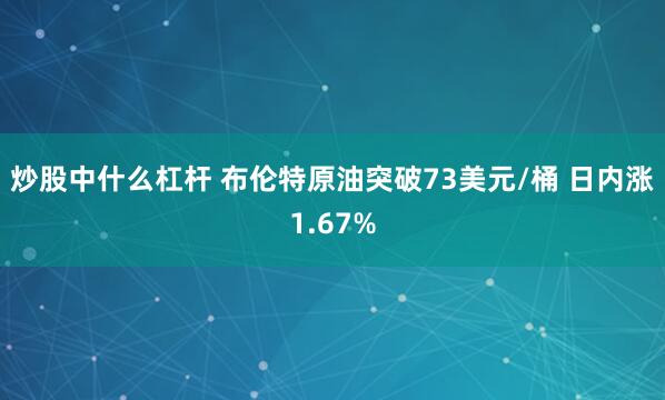 炒股中什么杠杆 布伦特原油突破73美元/桶 日内涨1.67%