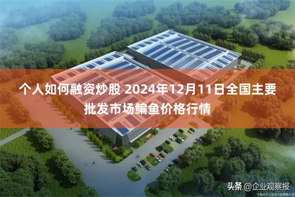 个人如何融资炒股 2024年12月11日全国主要批发市场鳊鱼价格行情