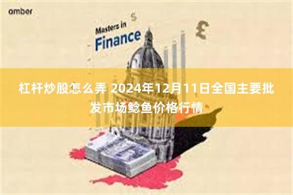 杠杆炒股怎么弄 2024年12月11日全国主要批发市场鲶鱼价格行情