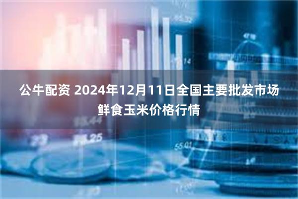 公牛配资 2024年12月11日全国主要批发市场鲜食玉米价格行情