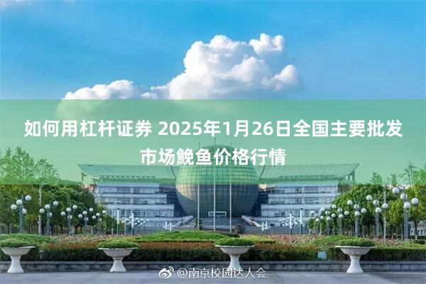 如何用杠杆证券 2025年1月26日全国主要批发市场鮸鱼价格行情