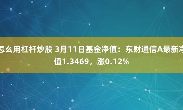 怎么用杠杆炒股 3月11日基金净值：东财通信A最新净值1.3469，涨0.12%